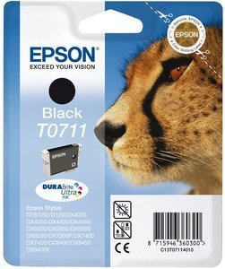 Epson T071