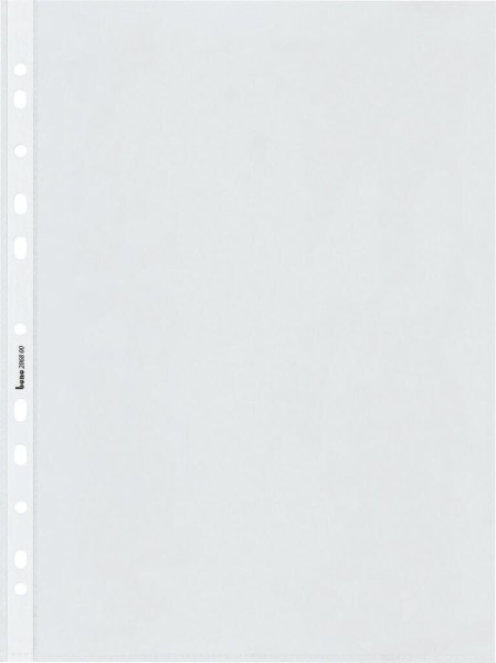 62825_BENE_Klarsichthülle_(206800)_mit_Lochrand_A4_100_Stk